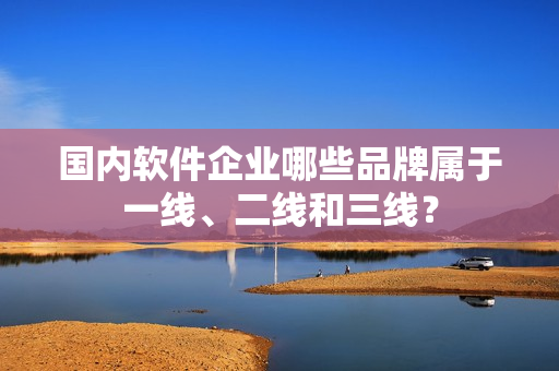 国内软件企业哪些品牌属于一线、二线和三线？