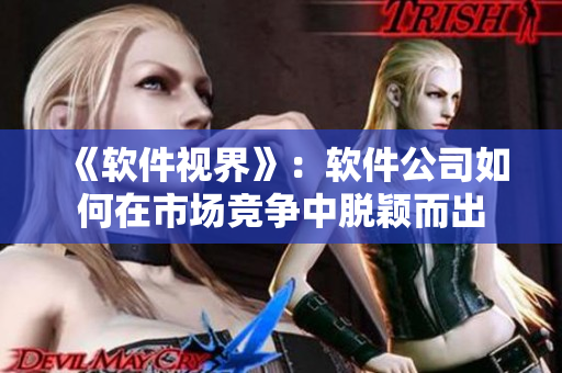 《软件视界》：软件公司如何在市场竞争中脱颖而出