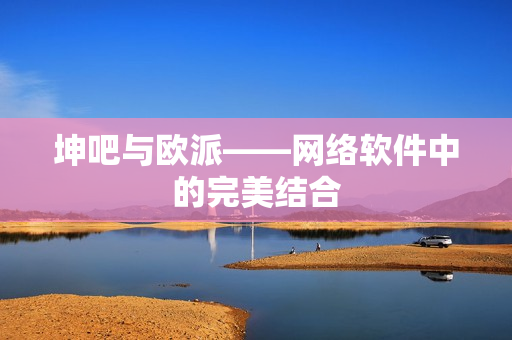 坤吧与欧派——网络软件中的完美结合