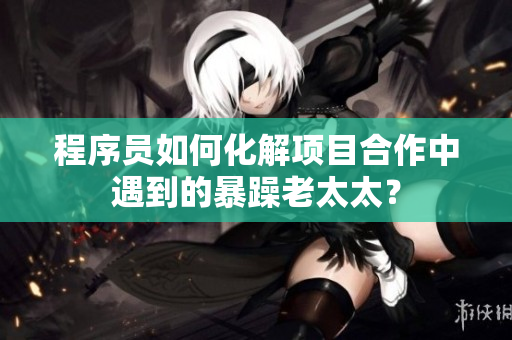 程序员如何化解项目合作中遇到的暴躁老太太？