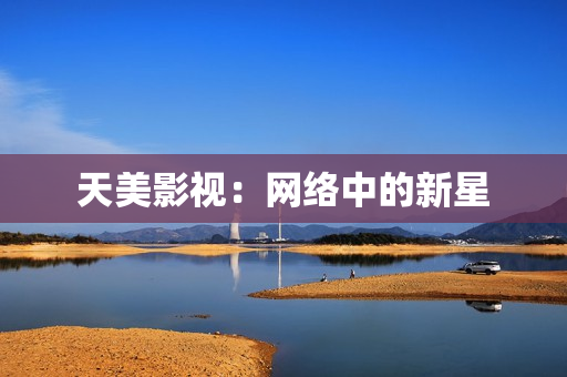 天美影视：网络中的新星