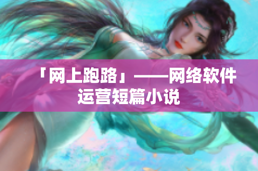 「网上跑路」——网络软件运营短篇小说