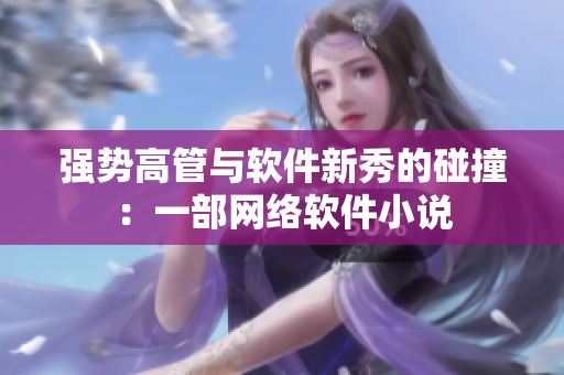 强势高管与软件新秀的碰撞：一部网络软件小说