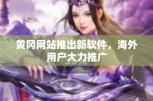 黄冈网站推出新软件，海外用户大力推广