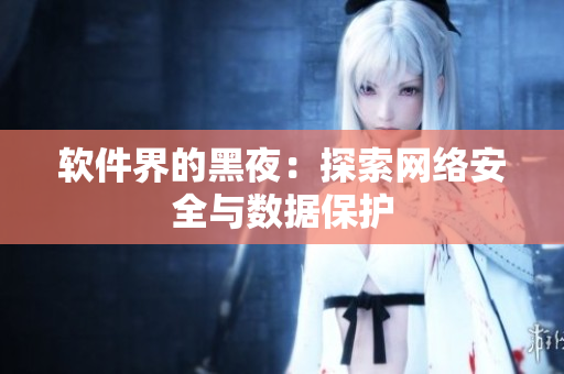 软件界的黑夜：探索网络安全与数据保护