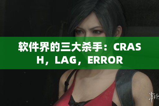 软件界的三大杀手：CRASH，LAG，ERROR