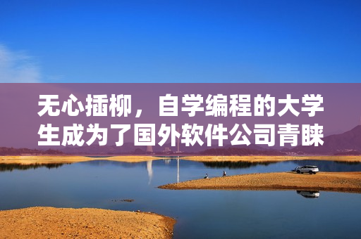 无心插柳，自学编程的大学生成为了国外软件公司青睐的新星