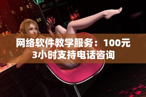 网络软件教学服务：100元3小时支持电话咨询