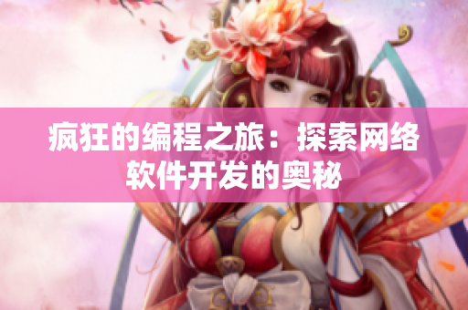 疯狂的编程之旅：探索网络软件开发的奥秘