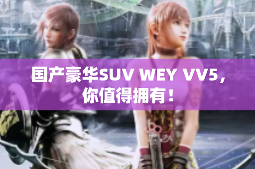 国产豪华SUV WEY VV5，你值得拥有！