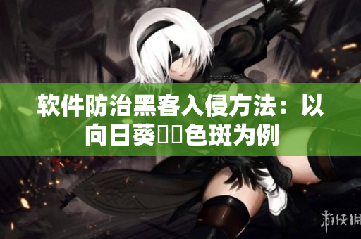 软件防治黑客入侵方法：以向日葵卍卍色斑为例