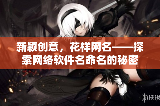 新颖创意，花样网名——探索网络软件名命名的秘密
