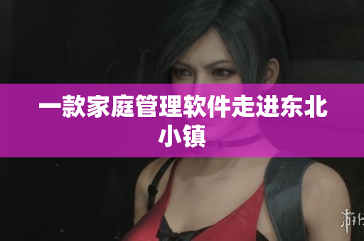 一款家庭管理软件走进东北小镇