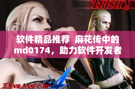 软件精品推荐  麻花传中的md0174，助力软件开发者提高效率