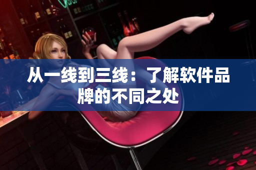 从一线到三线：了解软件品牌的不同之处