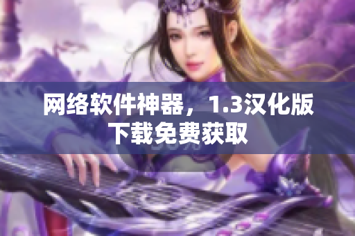 网络软件神器，1.3汉化版下载免费获取