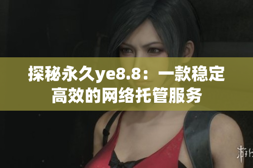 探秘永久ye8.8：一款稳定高效的网络托管服务