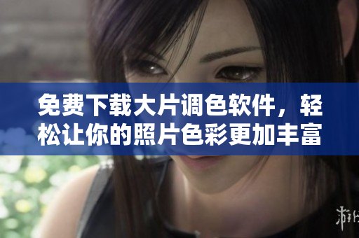免费下载大片调色软件，轻松让你的照片色彩更加丰富多彩！