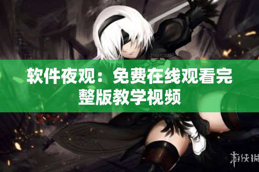 软件夜观：免费在线观看完整版教学视频