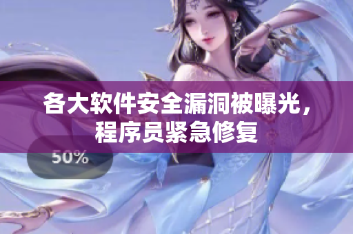 各大软件安全漏洞被曝光，程序员紧急修复