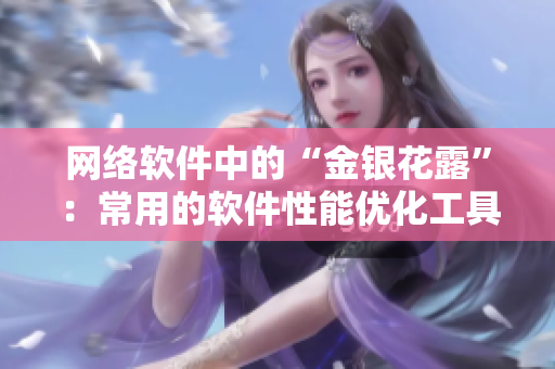 网络软件中的“金银花露”：常用的软件性能优化工具