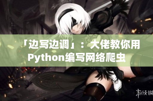 「边写边调」：大佬教你用Python编写网络爬虫