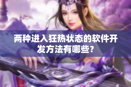 两种进入狂热状态的软件开发方法有哪些？