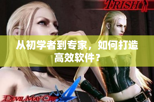 从初学者到专家，如何打造高效软件？
