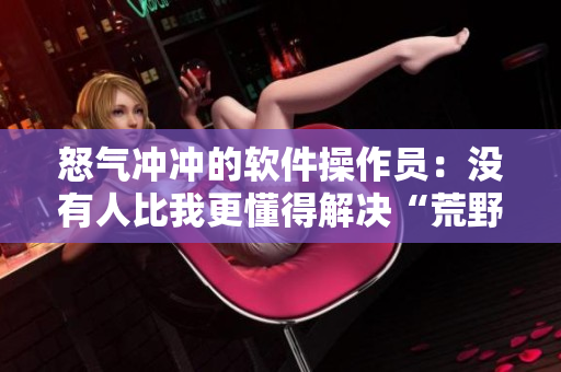 怒气冲冲的软件操作员：没有人比我更懂得解决“荒野”程序问题