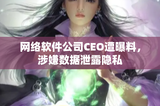 网络软件公司CEO遭曝料，涉嫌数据泄露隐私