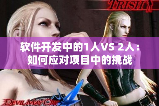 软件开发中的1人VS 2人：如何应对项目中的挑战