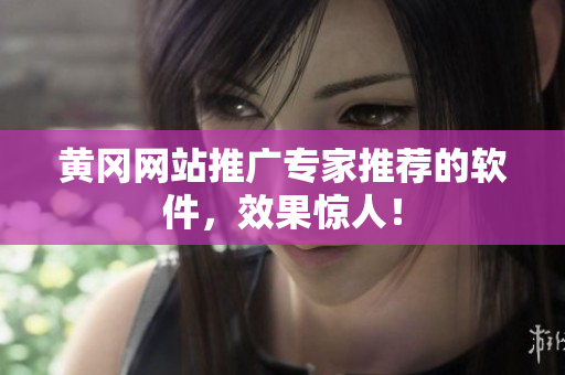 黄冈网站推广专家推荐的软件，效果惊人！