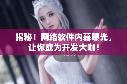揭秘！网络软件内幕曝光，让你成为开发大咖！