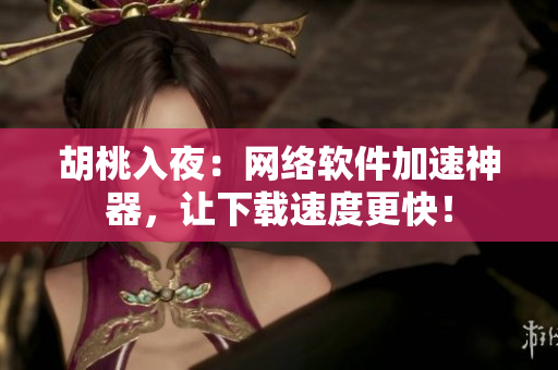 胡桃入夜：网络软件加速神器，让下载速度更快！