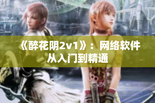 《醉花阴2v1》：网络软件从入门到精通