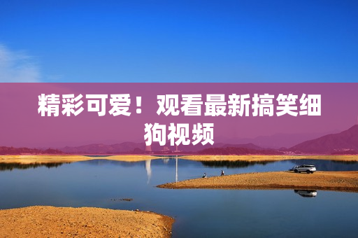精彩可爱！观看最新搞笑细狗视频