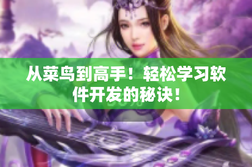 从菜鸟到高手！轻松学习软件开发的秘诀！