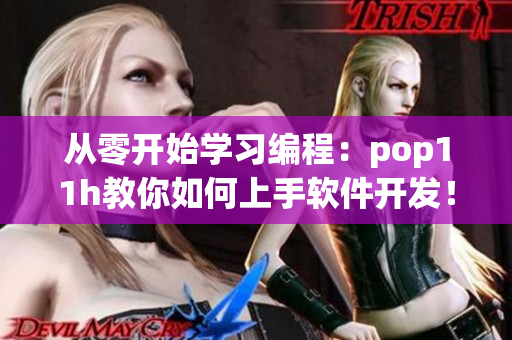 从零开始学习编程：pop11h教你如何上手软件开发！