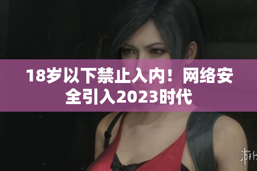 18岁以下禁止入内！网络安全引入2023时代