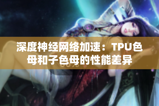 深度神经网络加速：TPU色母和子色母的性能差异