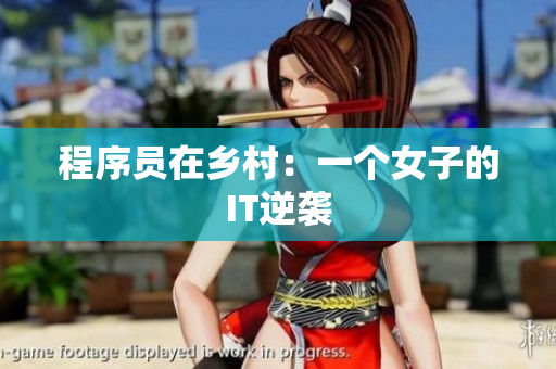 程序员在乡村：一个女子的IT逆袭
