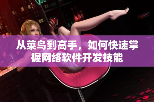 从菜鸟到高手，如何快速掌握网络软件开发技能