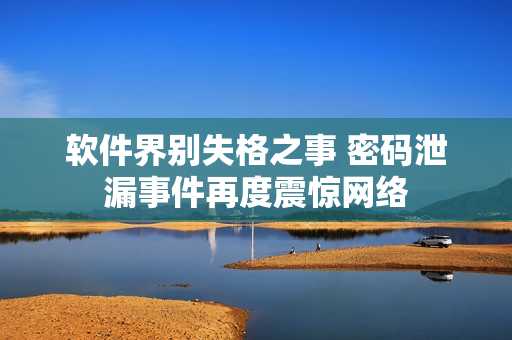 软件界别失格之事 密码泄漏事件再度震惊网络