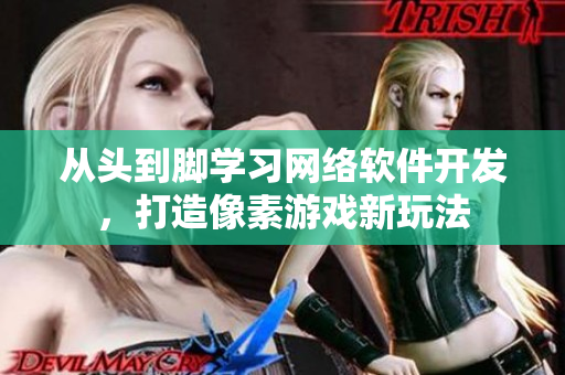 从头到脚学习网络软件开发，打造像素游戏新玩法