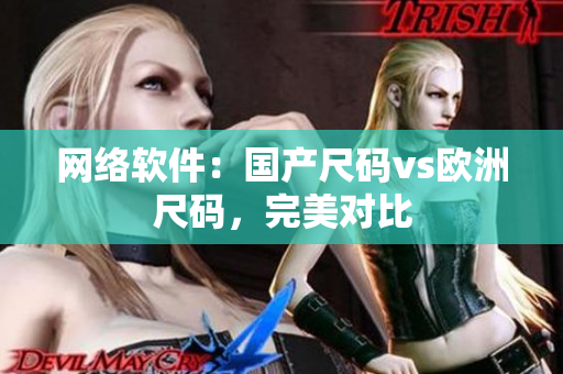 网络软件：国产尺码vs欧洲尺码，完美对比