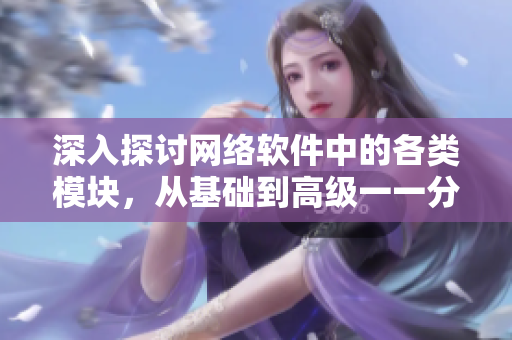 深入探讨网络软件中的各类模块，从基础到高级一一分析