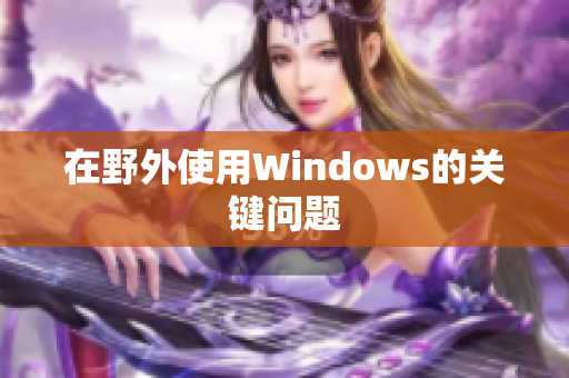 在野外使用Windows的关键问题