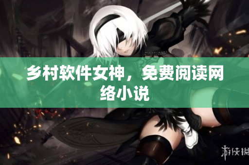 乡村软件女神，免费阅读网络小说