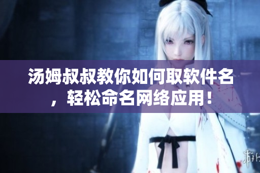 汤姆叔叔教你如何取软件名，轻松命名网络应用！