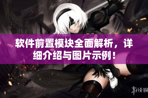 软件前置模块全面解析，详细介绍与图片示例！